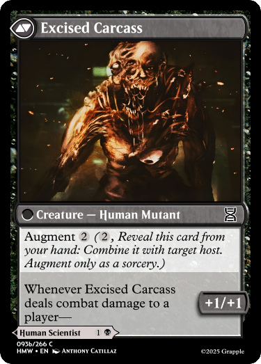 /sets\HMW-files\img\93_Cautious Excisor_front.png